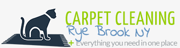 carpetcleaningryebrook.com